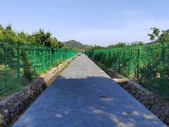 -树山生态村