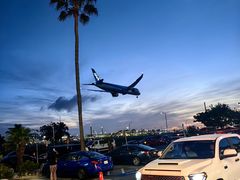 -In-N-Out Burger(LAX)