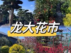 -龙大花卉苗木市场