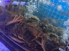 -福禧荟·海鲜自助
