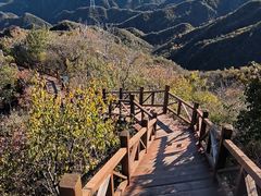 -大岭沟猕猴桃谷风景区