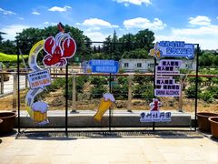 -曹州牡丹园