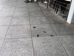 -亚坤(远东广场店)