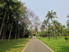 -中国科学院西双版纳热带植物园