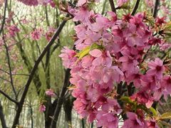 -梁鸿国家湿地公园