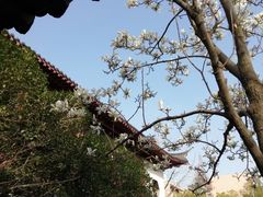 -郑和公园
