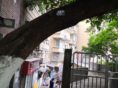 -临江门糯米团
