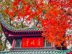 -岳麓山风景名胜区