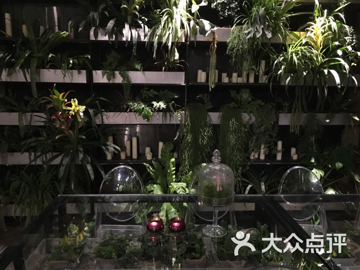 珍爱时刻botanica植物园餐厅图片 第4张