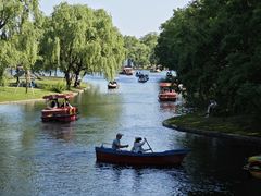 -上海共青森林公园