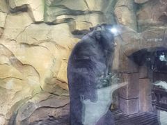 -哈尔滨波塞冬海底世界