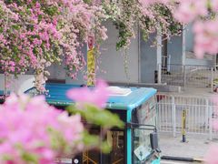 -深圳市中科院仙湖植物园