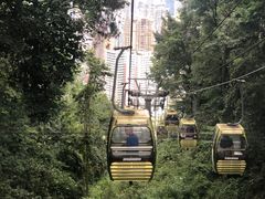 -黔灵山公园