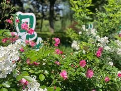 -昆山城市生态森林公园