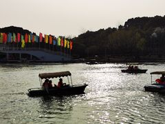 -大宁公园