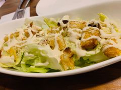 -百好乐宠物友好餐厅(朝外大街店)