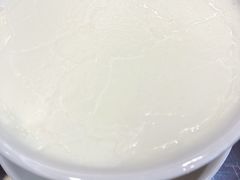 盐炖奶-民信老铺(双皮奶博物馆店)