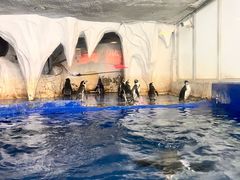 -太平洋海底世界