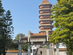 -三水森林公园
