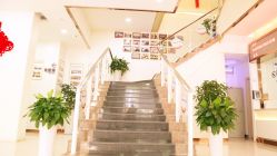 楼梯-新生植发·植养护一体