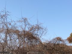 -善卷洞风景区