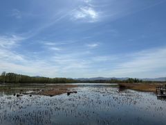 -野鸭湖国家湿地公园