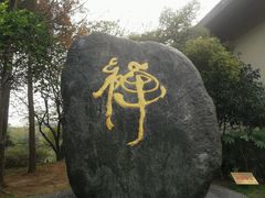-太极禅苑