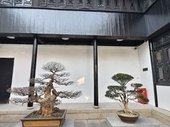 -绮园景区