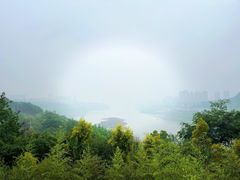 -金海湾滨江公园