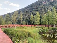 -广州市石门国家森林公园