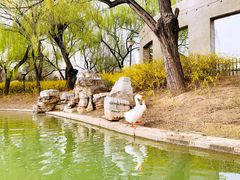 -达活泉公园