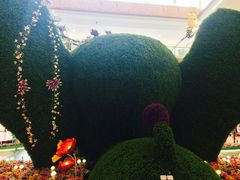1楼万小象-优衣库(南宁万象城店)