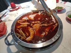-蜀滋香鲜鱼美蛙火锅(339店)