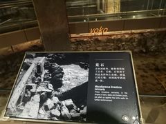 -元代水闸遗址博物馆