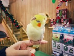 -藦茜花园宠物主题亲子互动体验馆(国顺东路店)