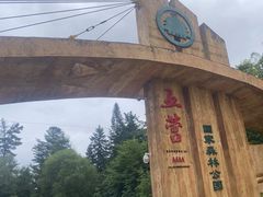 -五营红松林海景区