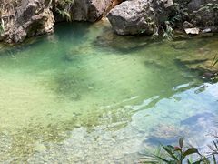 -南海湾森林生态园