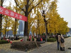 -百林公园-两江幸福广场