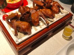 -大鸽饭(动物园店)