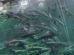 -波塞冬海底世界