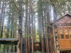 -日照海滨国家森林公园