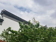 -沧浪亭