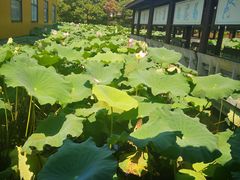 -千龙湖生态旅游度假区