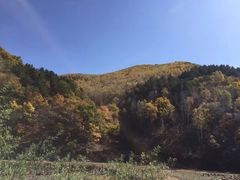 -塞罕坝国家级自然保护区