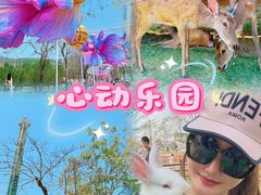 -盈香心动乐园