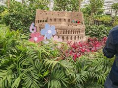 -南宫五洲植物乐园