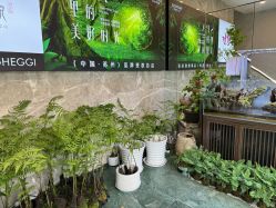 -阅年轻·AI家庭健康体质调理
