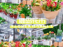 -鹿岛生活(熙地港店)