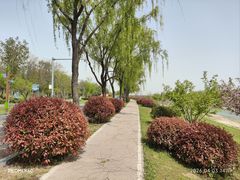 -洨河生态公园