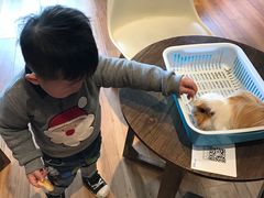 -藦茜花园宠物主题亲子互动体验馆(国顺东路店)